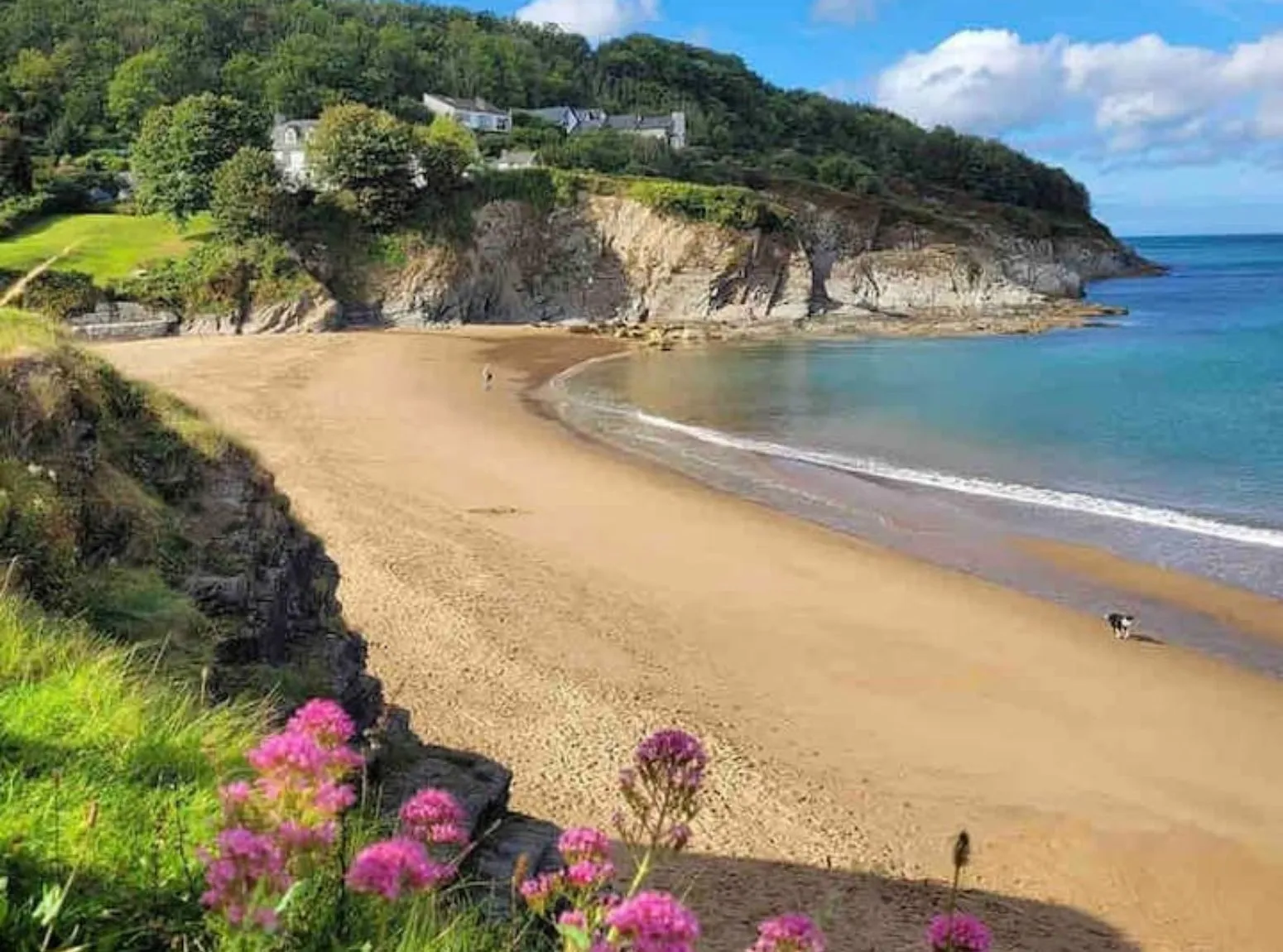 Sandy beach and coastal scenery around Cardigan Bay